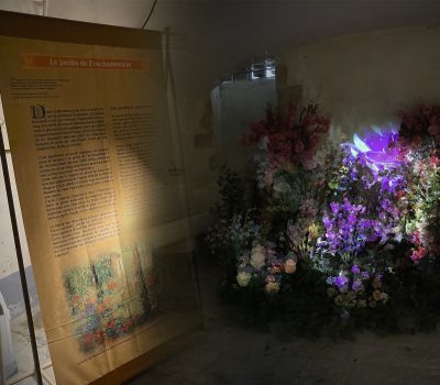 Œuvre de Jardin d'Ombres animée par des projections vidéo de Fred Di Noto.